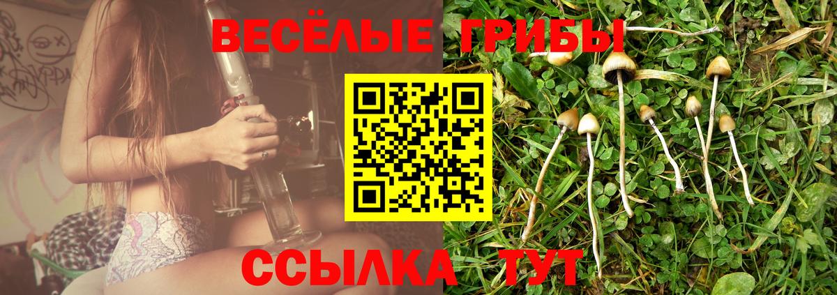 Псилоцибиновые грибы Psilocybe Южно-Сахалинск